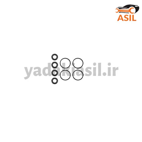 اورینگ سوزن انژکتور 405 طرح ورسی - یدکی اصیل