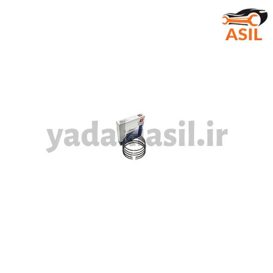 رینگ موتور 206 تیپ 2 NE - یدکی اصیل