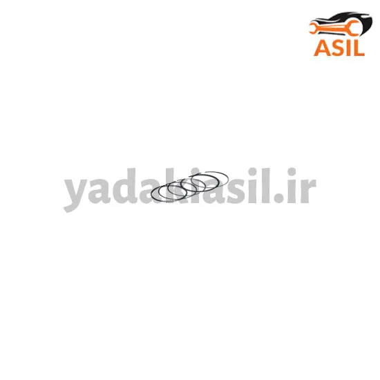 رینگ موتور 206 تیپ 5 استاندارد TP - یدکی اصیل