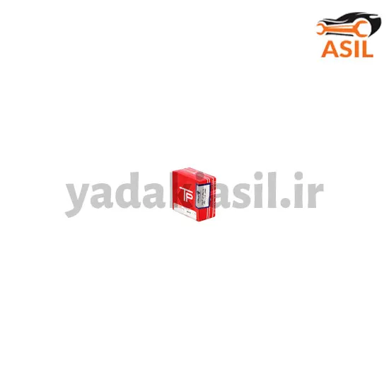 رینگ موتور تیبا 50 TP - یدکی اصیل