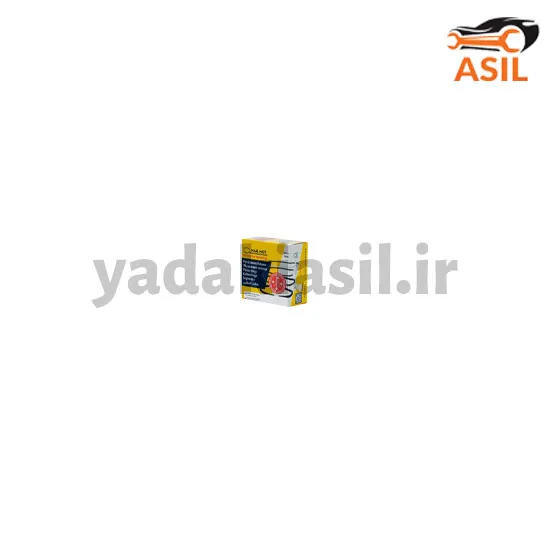 رینگ موتور تیبا 50 مارموت - یدکی اصیل