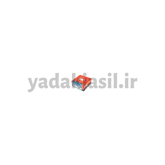رینگ موتور نیسان ریک ژاپنی - یدکی اصیل