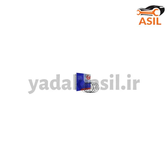 رینگ موتور پژو استاندارد SM - یدکی اصیل