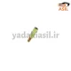 پیچ تسمه سفت کن پژو - یدکی اصیل